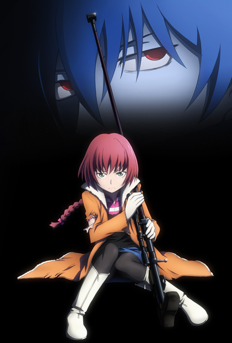 DARKER THAN BLACK 流星の双子 封面