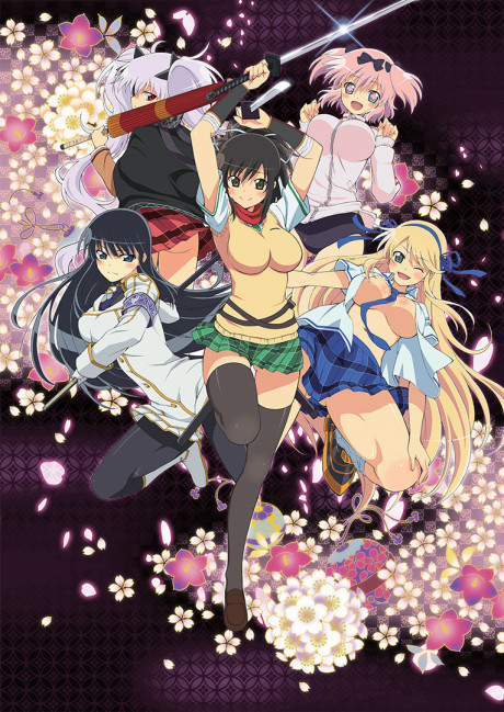 閃乱カグラ 封面