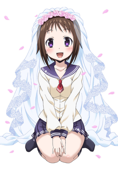 おくさまが生徒会長！ 封面