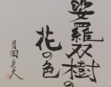 娑羅双樹の花の色 封面