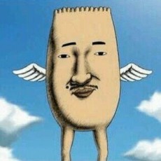 むきだしの光子 封面