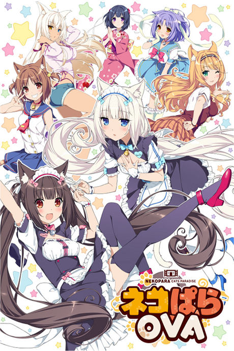ネコぱらOVA 封面