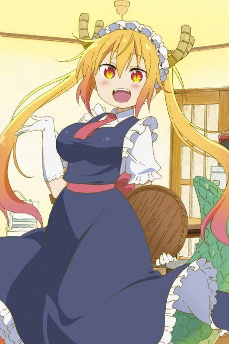 小林さんちのメイドラゴン 映像特典 小林さんちの○○ドラゴン 封面
