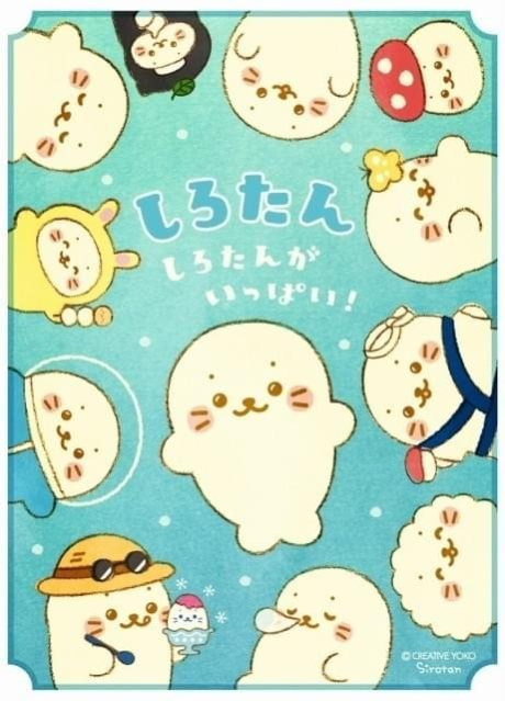 しろたん しろたんがいっぱい！ 封面