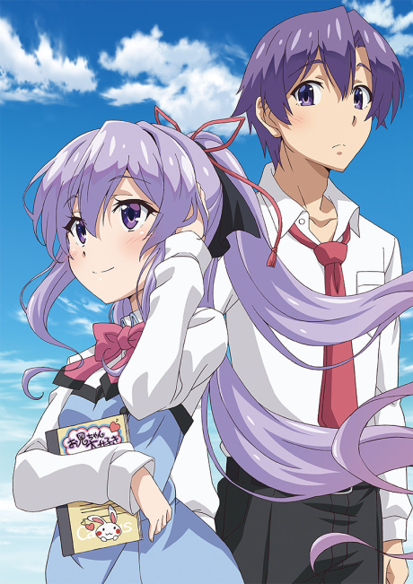 俺が好きなのは妹だけど妹じゃない 封面