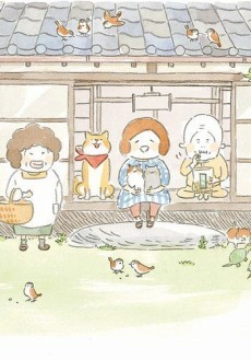 まめねこ 封面