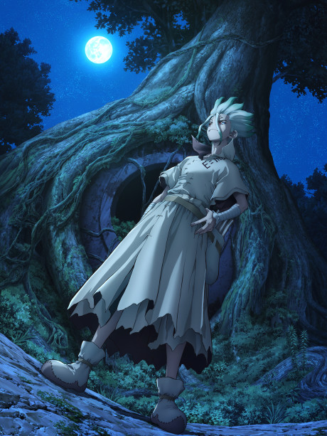 Dr.STONE NEW WORLD 封面