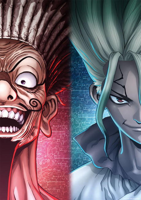Dr.STONE NEW WORLD 第2クール 封面